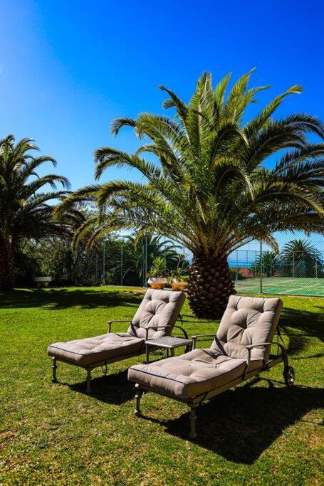 Apartment Table Mountain Retreat, Hike, Sea And Views *